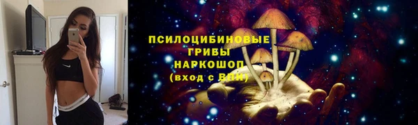 2c-b Медвежьегорск